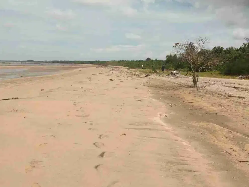 Tanah pinggir pantai
