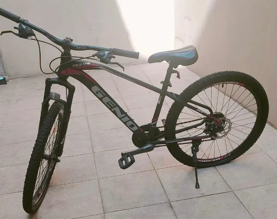 Jual Sepeda Genio M346