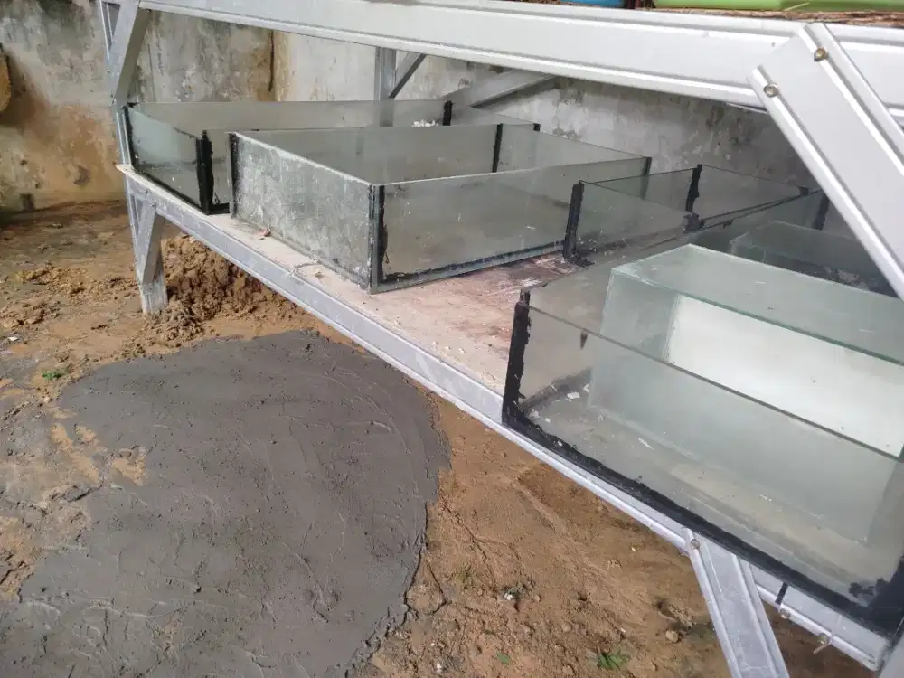 Dijual aquarium 3 biji Harga 300.000 all unit