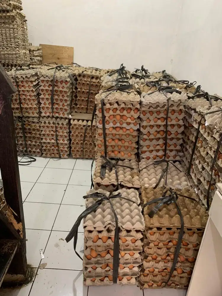 Dicari driver Telur dan gas