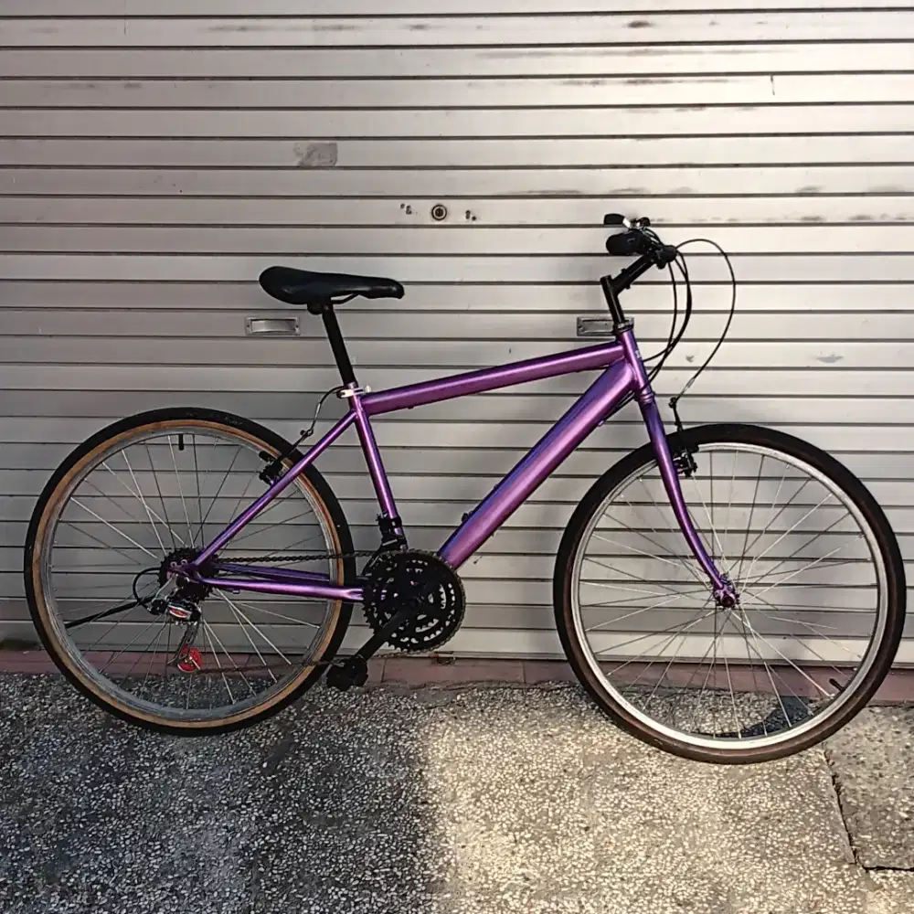 Mtb kalcer size 26