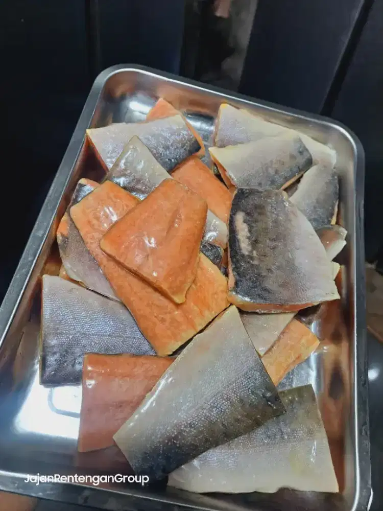 Filet salmon portion