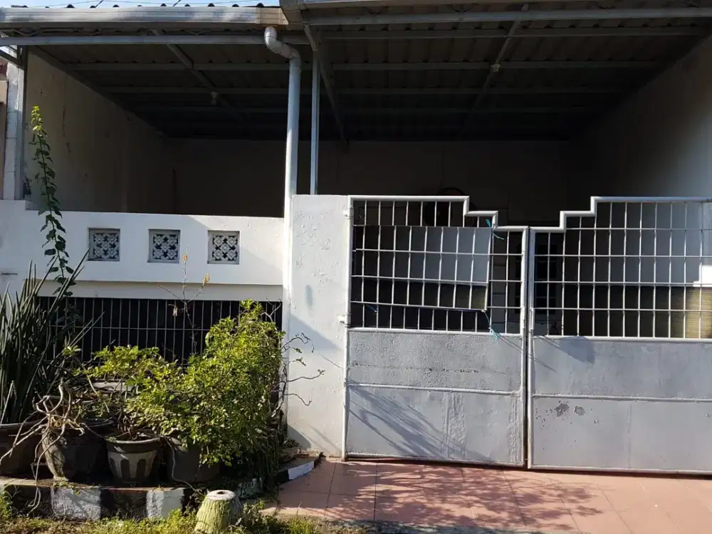 Rumah Terawat 1 Lantai 2 Kamar di Wiyung Surabaya, Daerah Aman Tenang