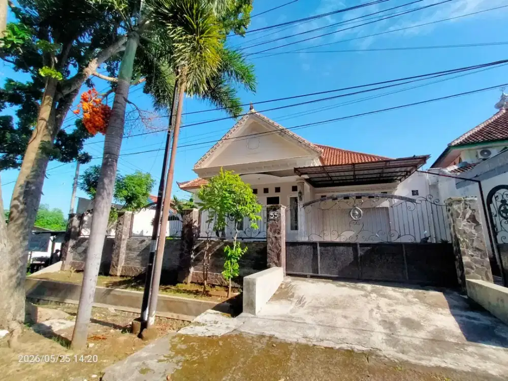 DIJUAL RUMAH MEWAH SUPER LUAS SINGOTRUNAN-BANYUWANGI