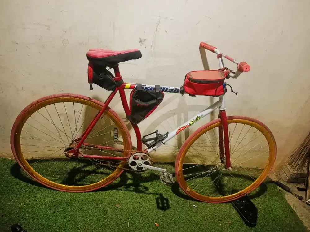 Sepeda fixie urban bike