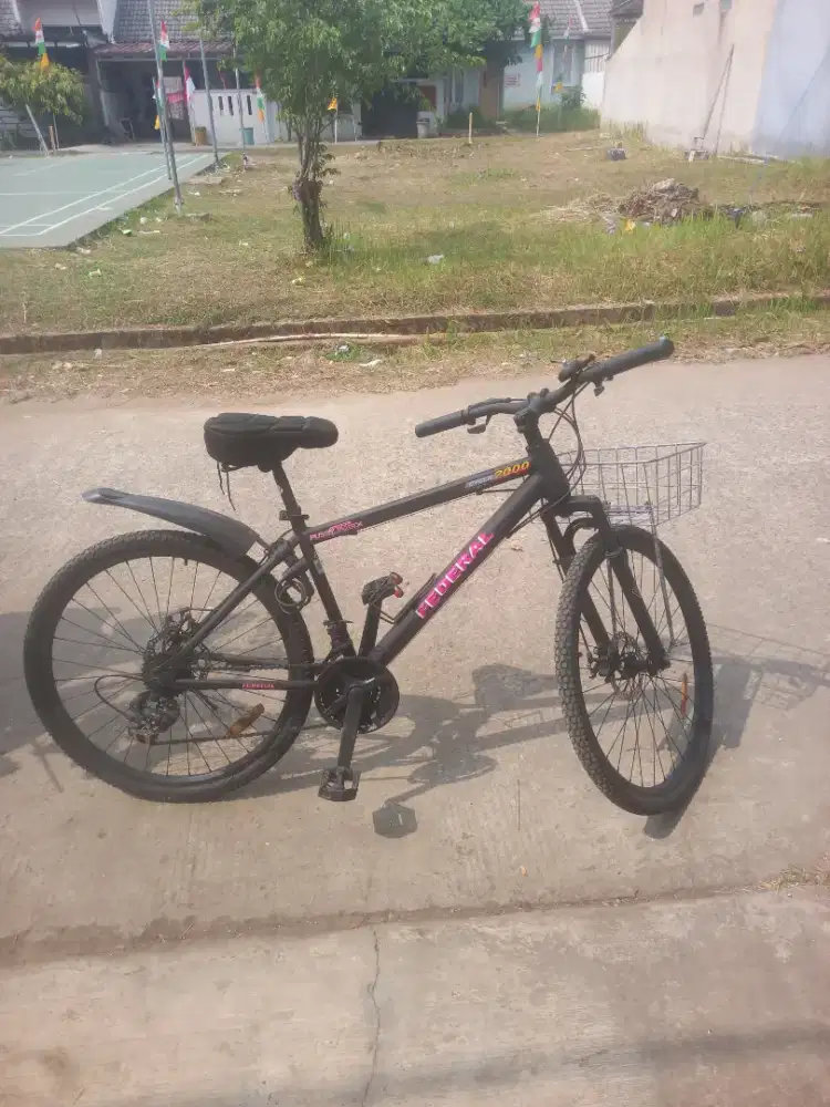 Sepeda federal basic gunung