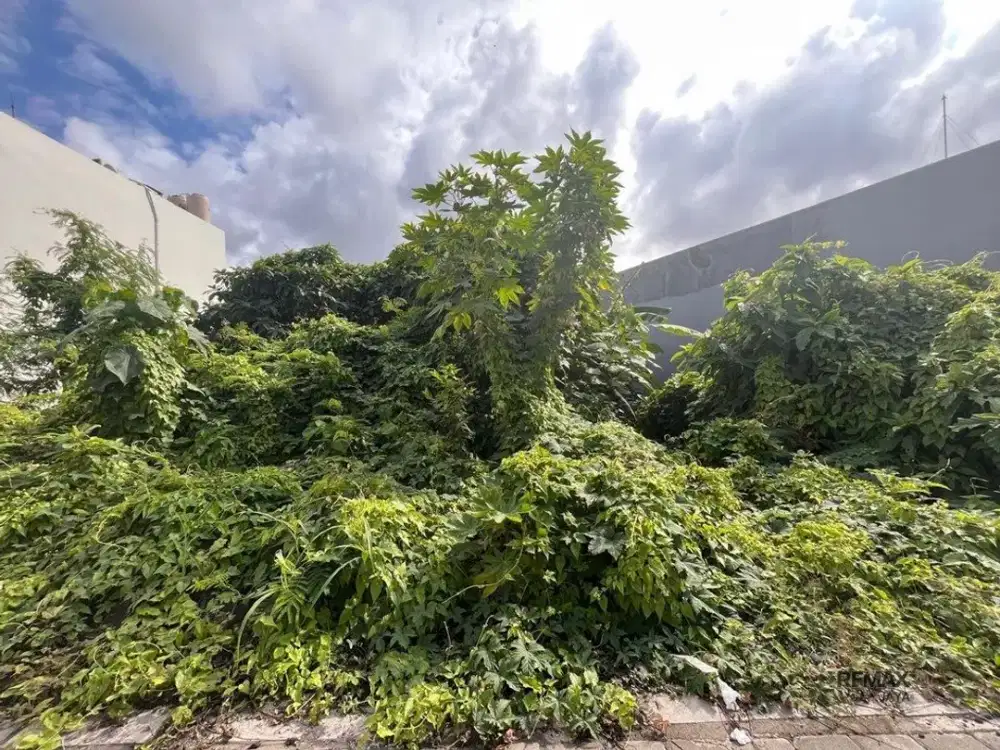 Tanah Premium 5,5 Are Disewakan di Seminyak dengan Lokasi Strategis