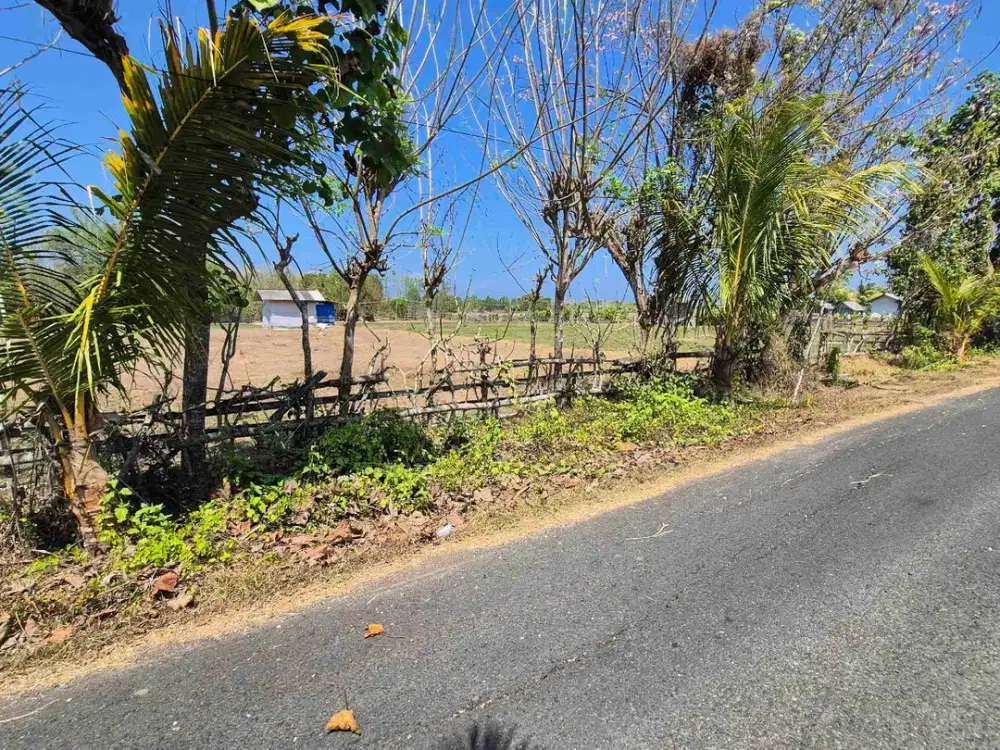 TANAH INDUSTRI 1.3 HEKTAR DI JALAN AWEN KOMBADING JEMBRANA BALI