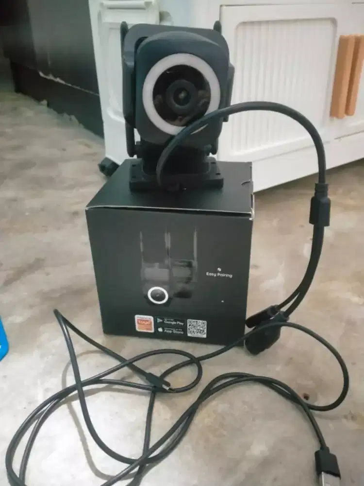 cctv Rabbit good