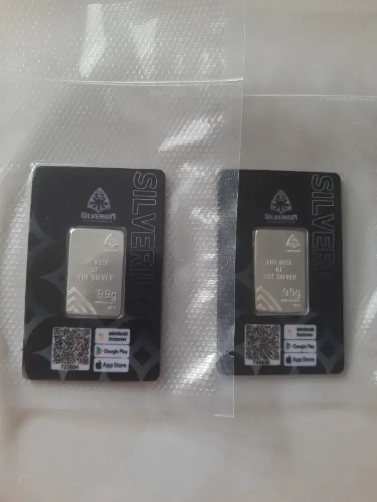 Perak SILVERIUM 9,9GR