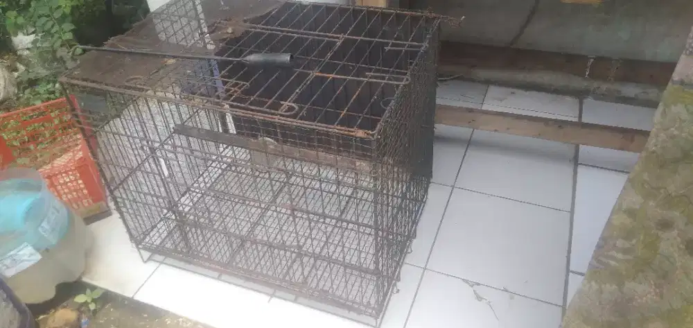 Kandang kucing size XL