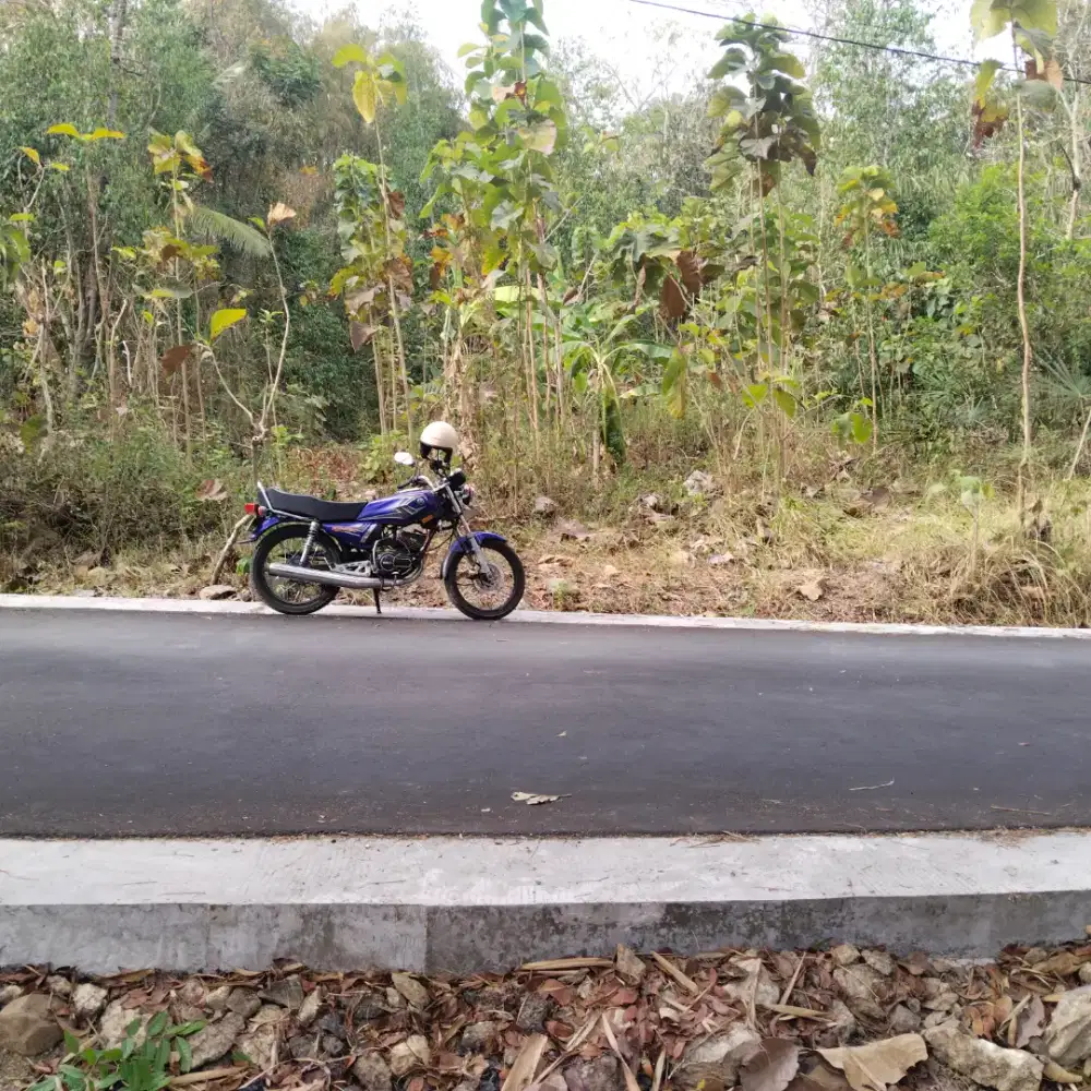 Tanah pinggir jalan aspal