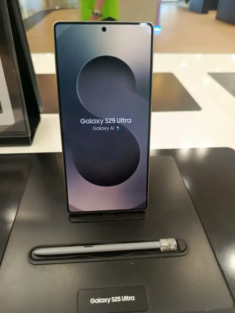 Samsung Galaxy S25 Ultra