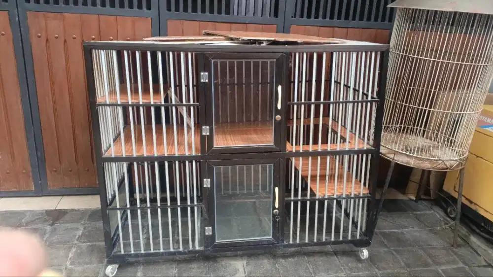 Kandang kucing & burung