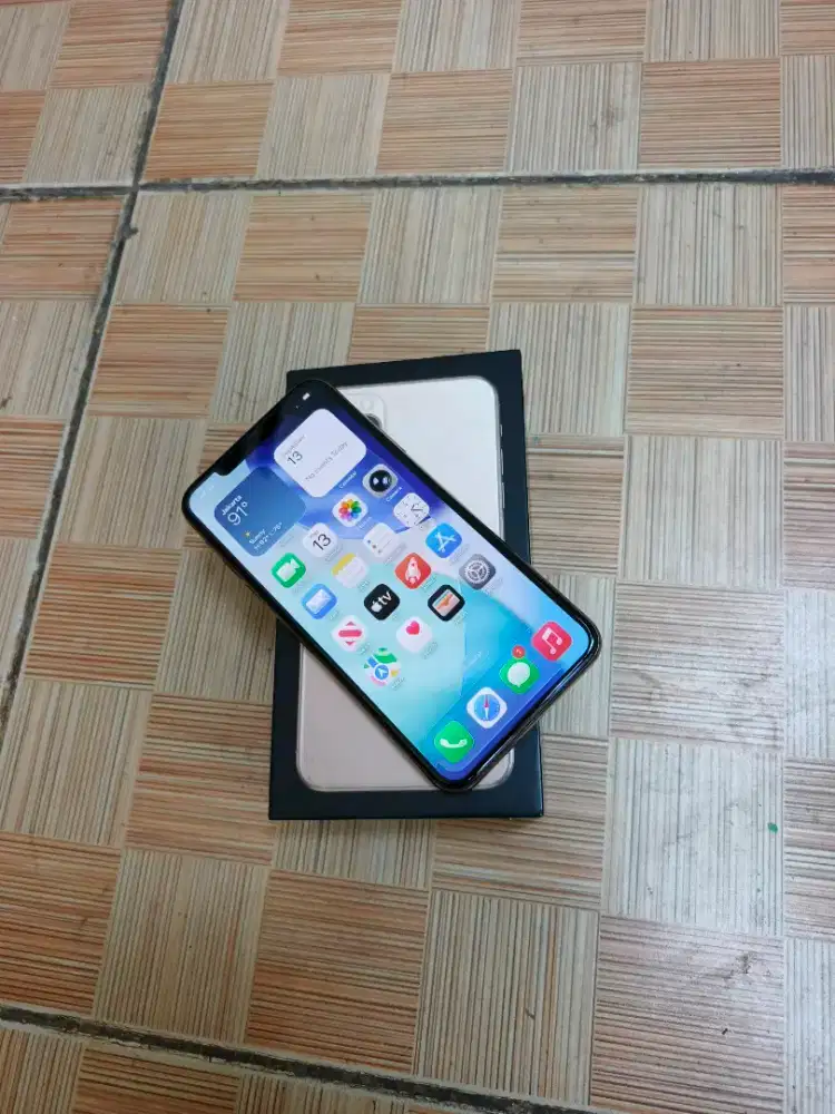 IPhone 11 pro max 256 gb Dual sim