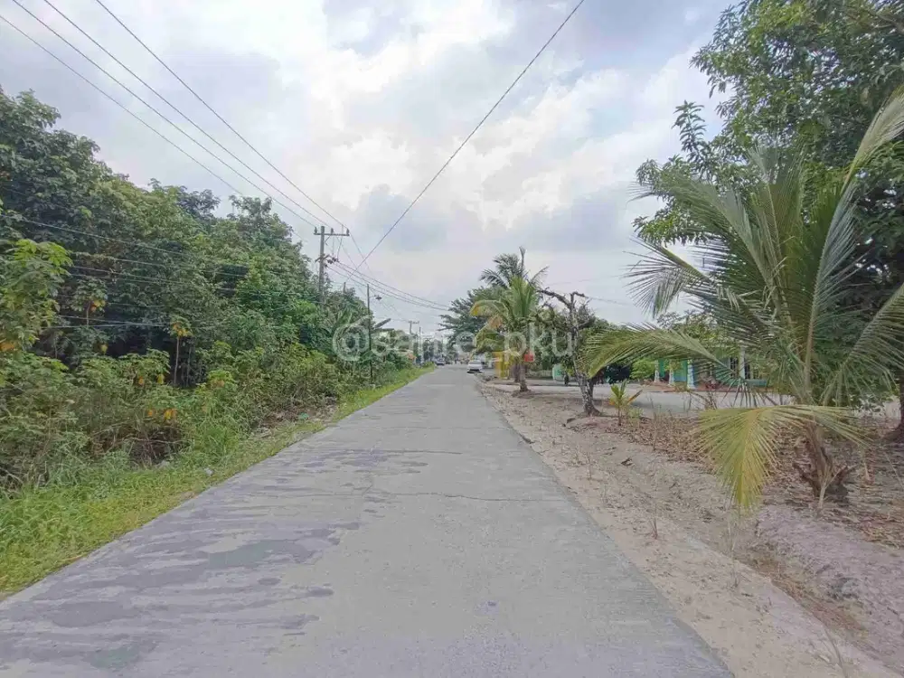 TANAH MURAH UTK PERUMAHAN DIARENGKA DIBELAKANG PASAR INDUK MODERN