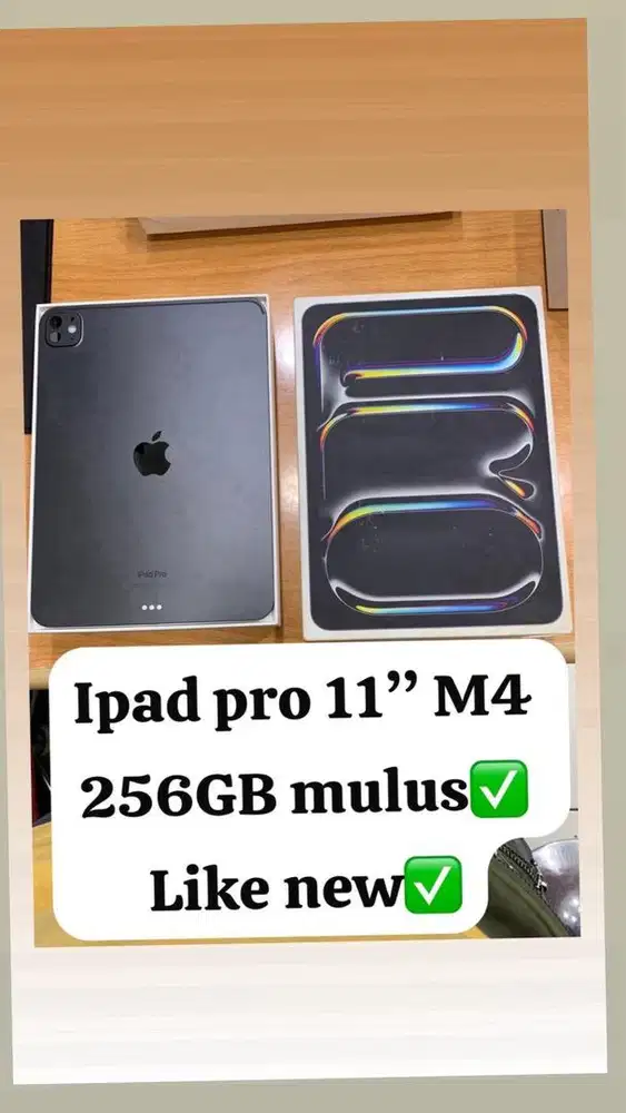 Ipad pro m4 256gb mulus like new