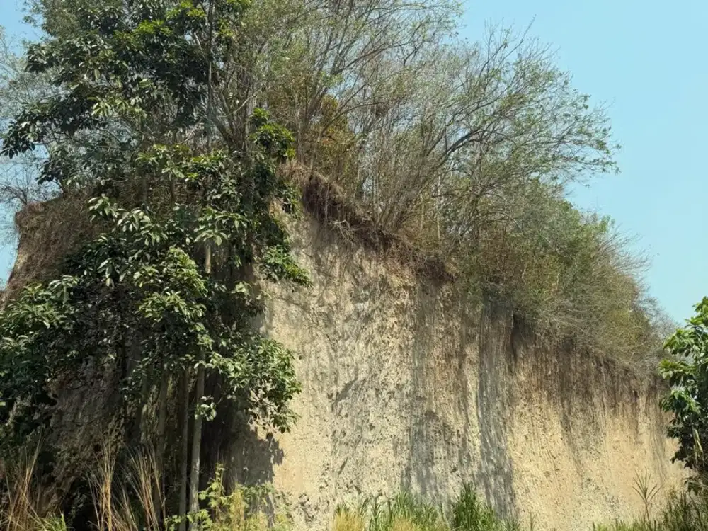 jual Tanah di daerah cilegon timur