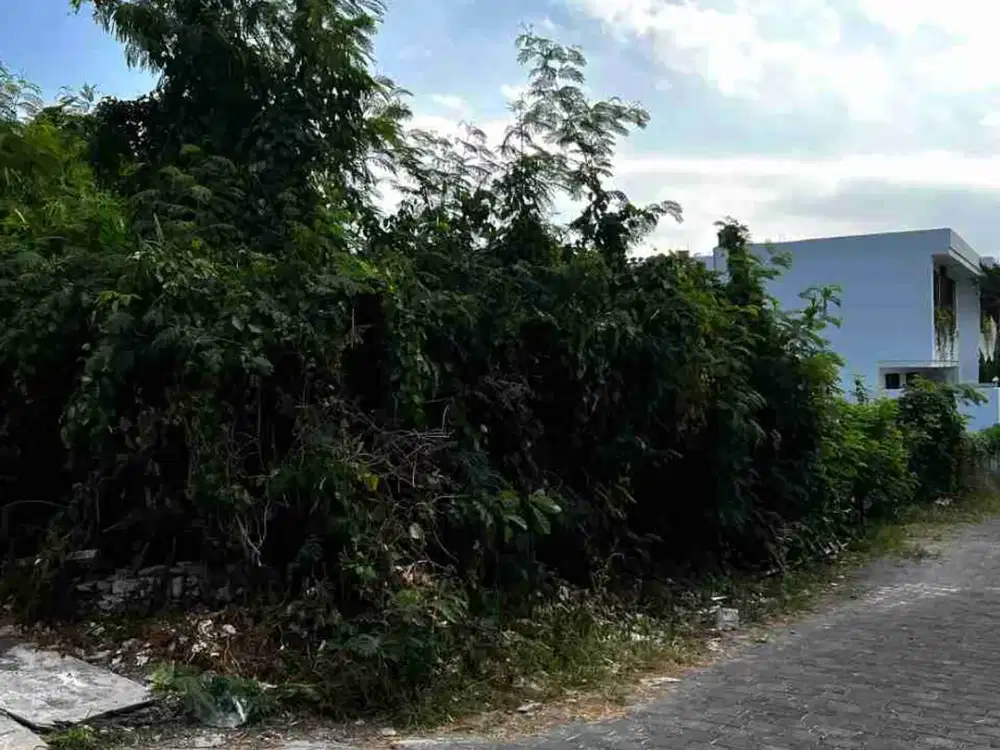 TANAH LUASAN KECIL DI CANGGU BERJARAK 1,5 KM DARI PANTAI BERAWA
