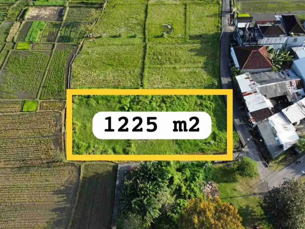 Land For Lease at Buduk with Ricefield view