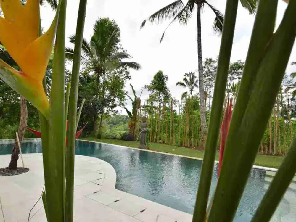 LUXURY MODERN VILLA JUNGLE VIEW AND VALLEY IN TEGALALANG UBUD BALI