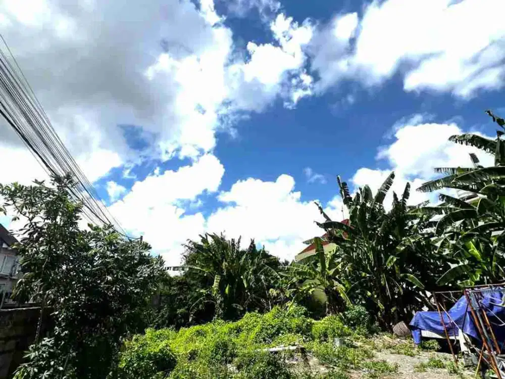 TANAH PREMIUM GUNUNG SALAK LINGKUNGAN VILLA KOMPLEK PRADASARI DEKAT KEROBOKAN DAN SEMINYAK