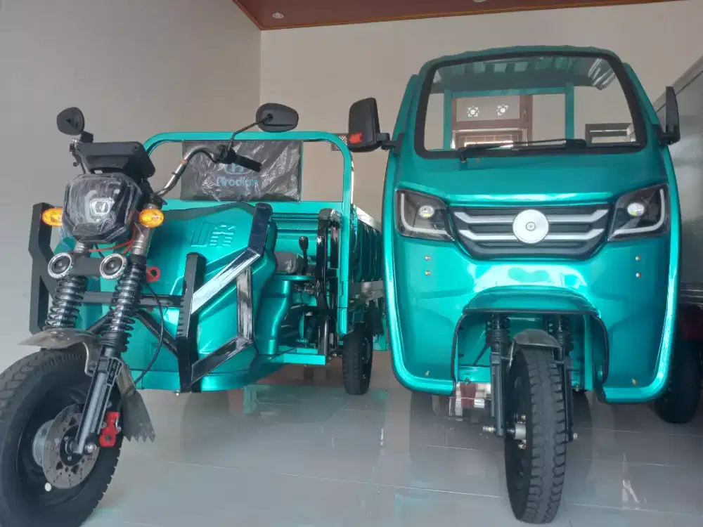 Arodian Molis Indonesia