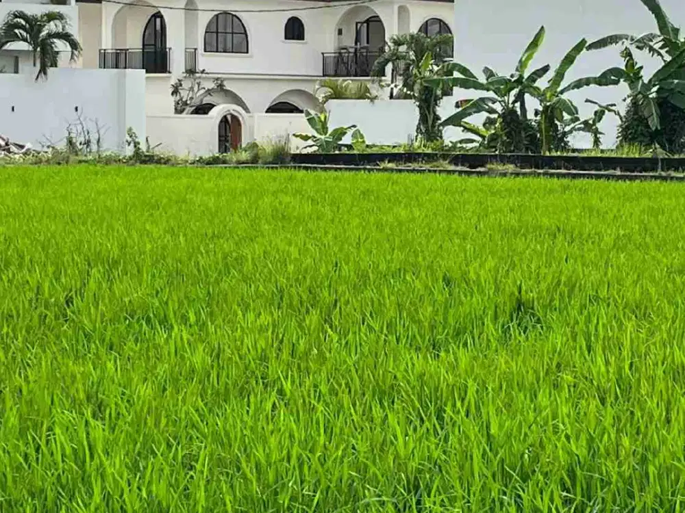 SALE FREHOLD AND LEASEHOLD 2 MODERN VILLAS IN BUDUK CLOSED TO CANGGU WITH RICEFILED VIEW