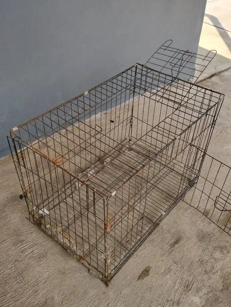 Kandang Kucing/Anabul/Burung