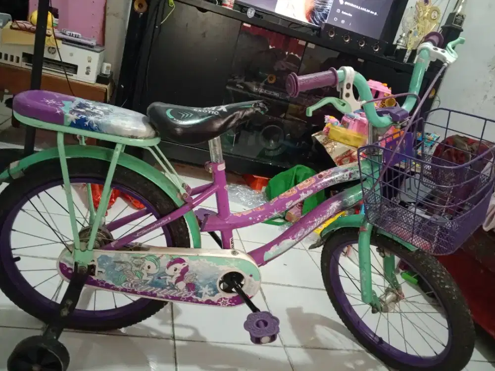 Sepeda Anak 16'
