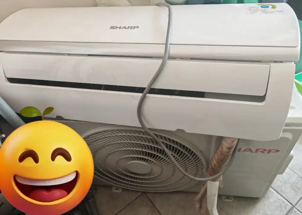 AC Sharp 1/2 PK second