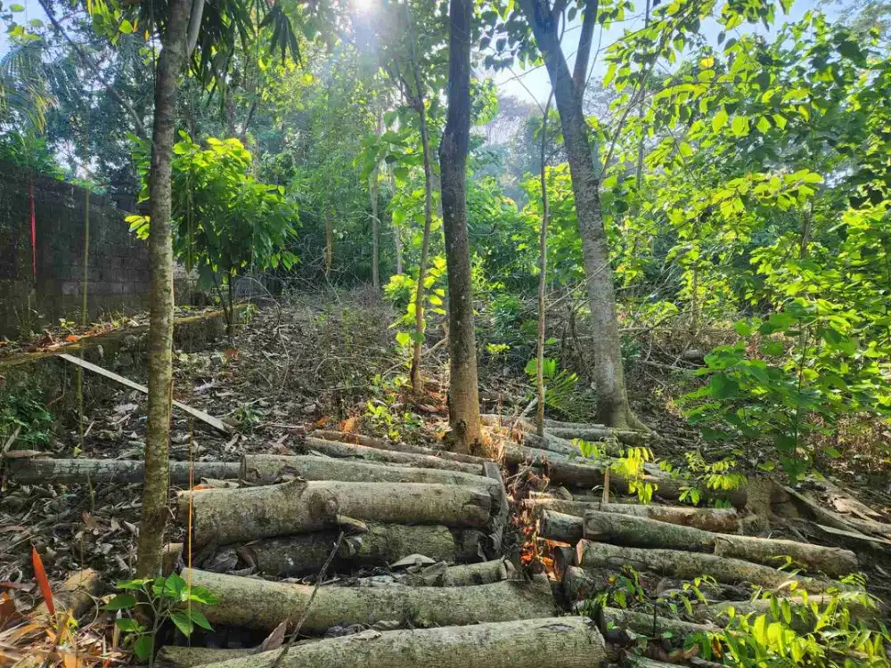TANAH DEKAT NYANYI KEDUNGU TANAHLOT COCOK UNTUK VILLA ATAU KAVLING VILLA PANDAK TABANAN