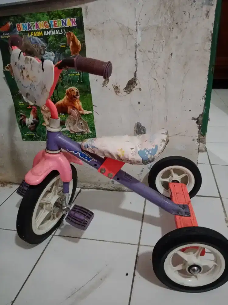 Sepeda Anak roda 3