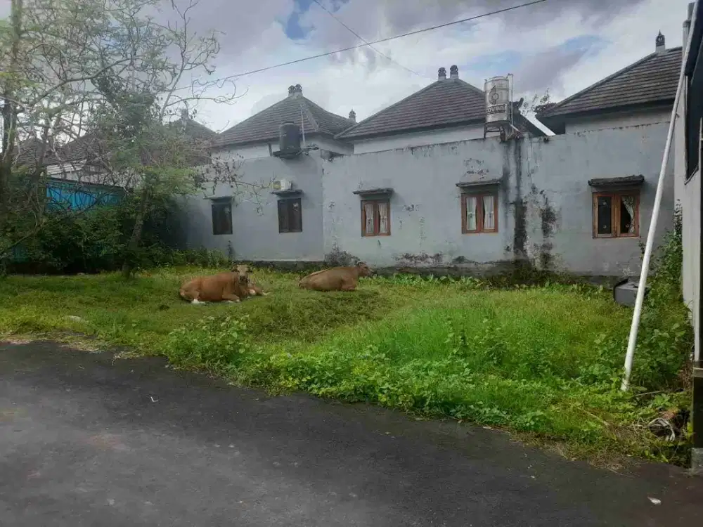 TANAH SEMPIDI DEKAT PUSPEM BADUNG SIAP BANGUN COCOK UNTUK RUMAH TINGGAL ATAU KOSTSAN