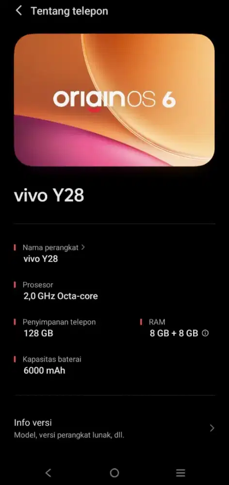 Vivo Y28 8+8/128