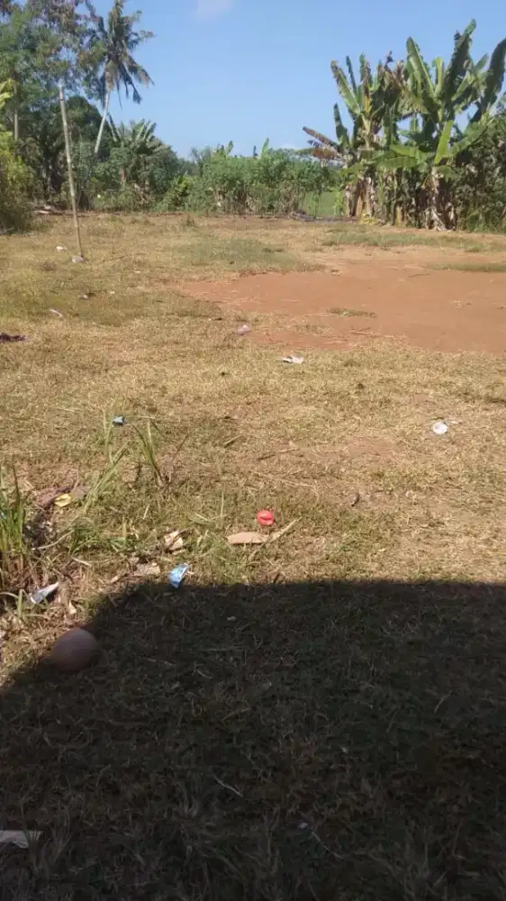 Dijual Tanah Tanpa Perantara