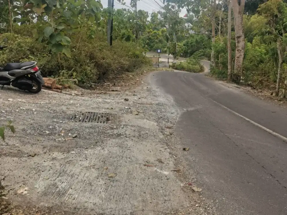 Lahan 28,5 Are Strategis Kawasan Pariwisata Dekat Pantai Bingin Pecatu Bali Cocok untuk Villa dan Investasi
