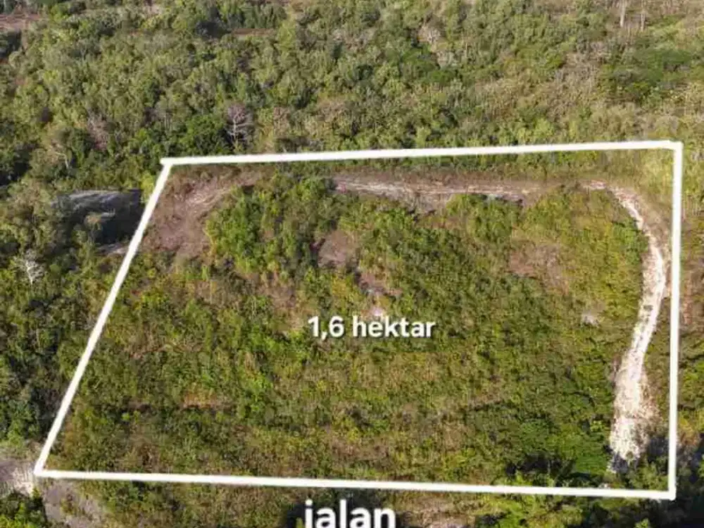 Dijual Tanah View Laut Cemongkak Labuan Sait Bali