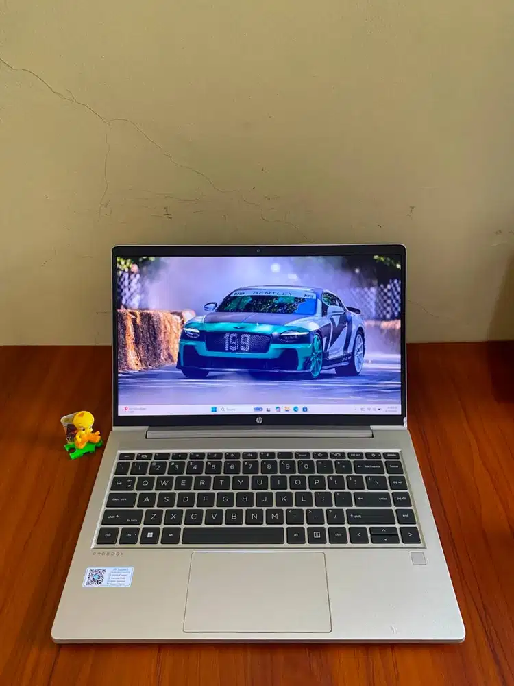 HP Probook 445 G8 Ryzen 5 pro 5600U RAM 8GB SSD 256GB | SLIM,MEWAH