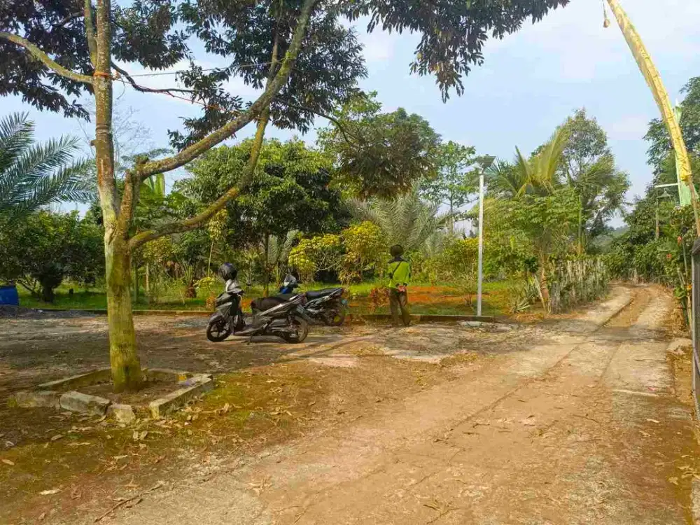 Dijual Kebun Kurma dan Buah-buahan di Kiarapedes Purwakarta
