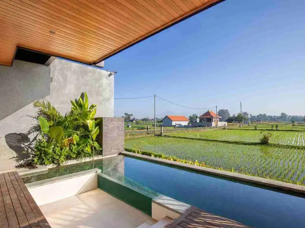 villa 2 unit View sawah Singakerta Ubud