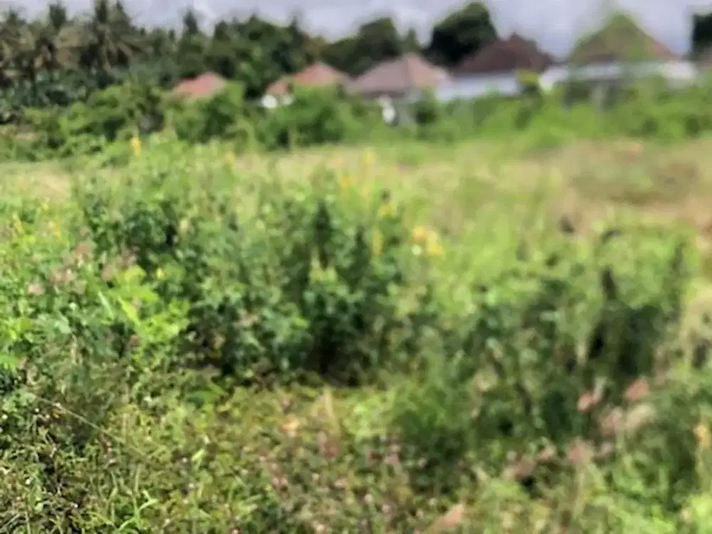 Tanah Kavling 1,5 Are di Komplek Pering River View, Gianyar