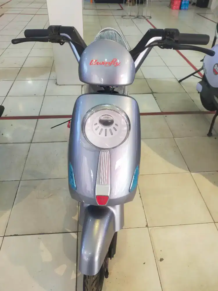 Sepeda listrik T60