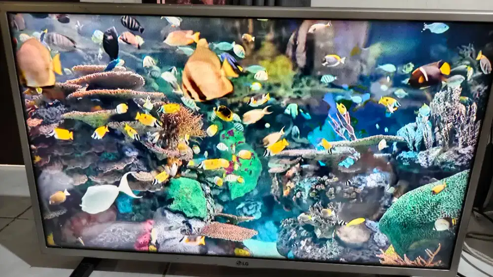 TV LG 32 inch apa adanya sesuai foto