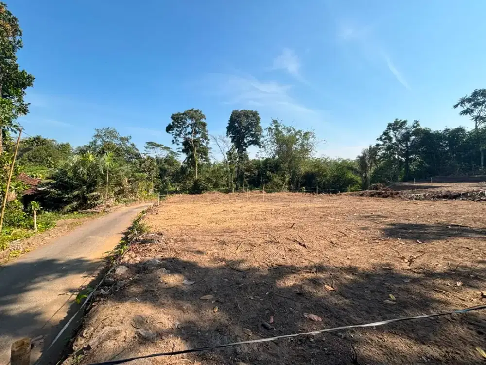 Utara Kopi Klotok Jogja, Tanah SHM Bisa Cicilan 24x Tanpa Bunga