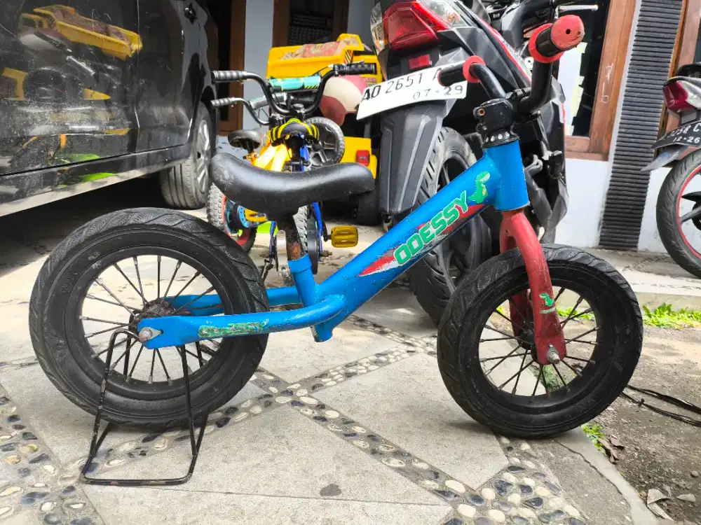 Pushbike Odessy