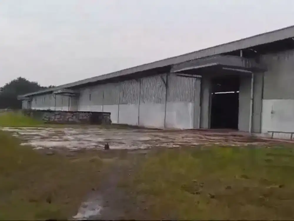 Gudang Siap Pakai Sudah SHM Cocok Produksi Zona Industri di Jawilan Serang