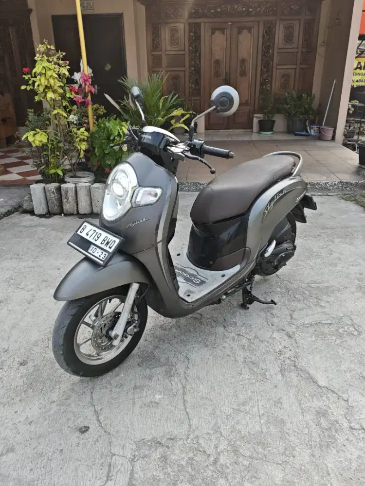 HONDA SCOOPY 2019