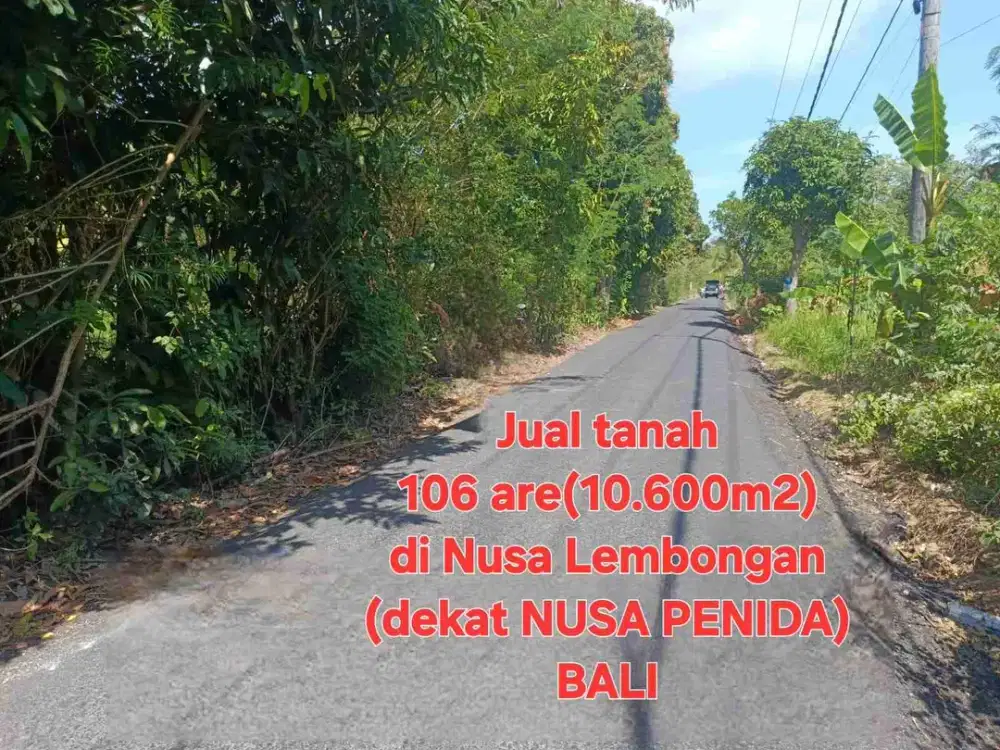 jual tanah 106 are pinggir jalan nusa lembongan