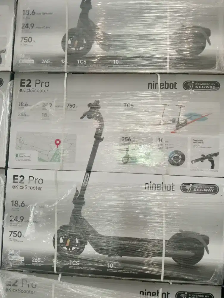 Segway Ninebot E 2 Pro